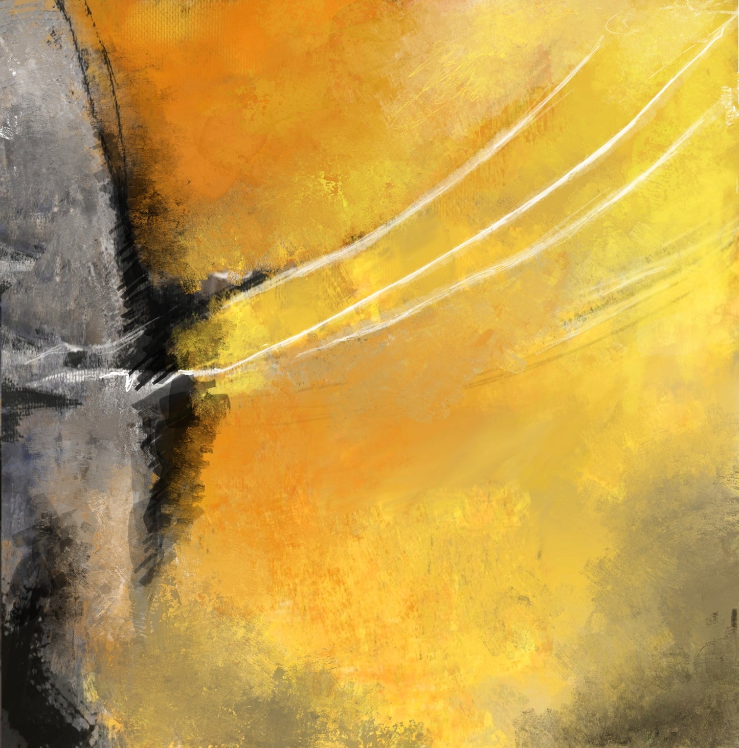 ENTRE LUCES Y SOMBRAS